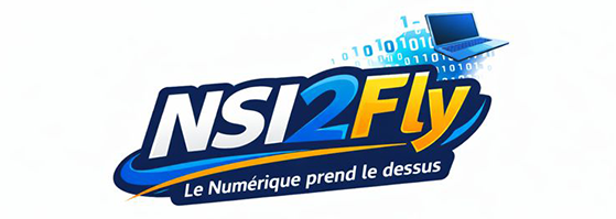 Logo NSI 2 Fly